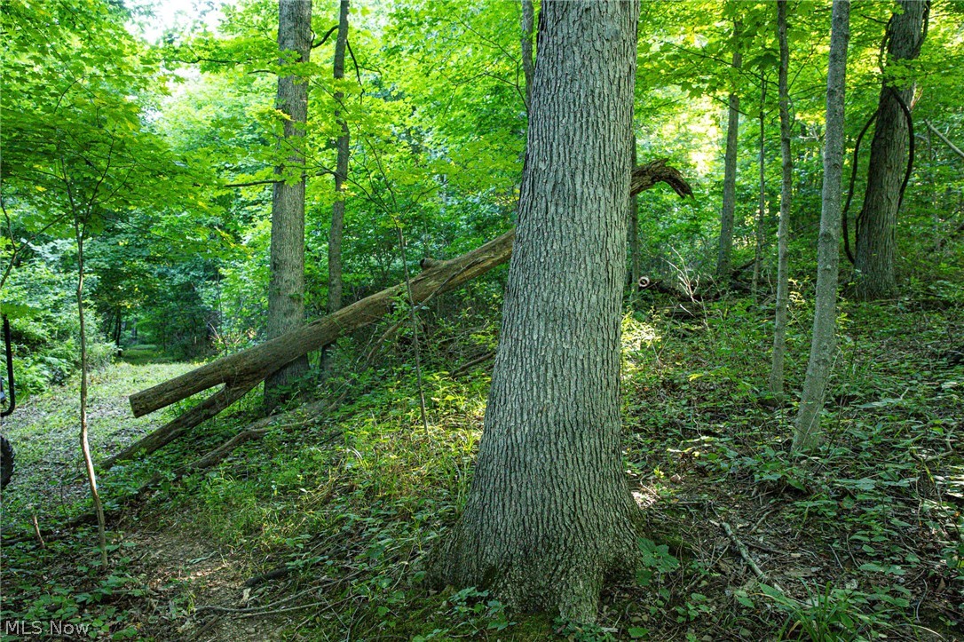 52982 Wegee Road Property Photo 47