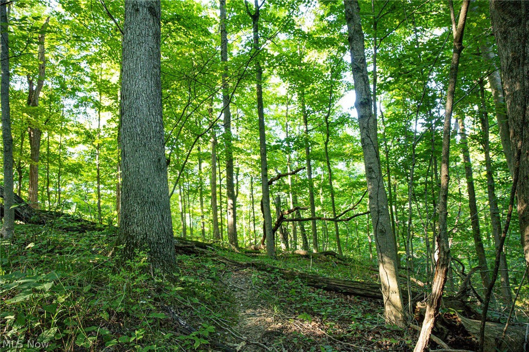 52982 Wegee Road Property Photo 48
