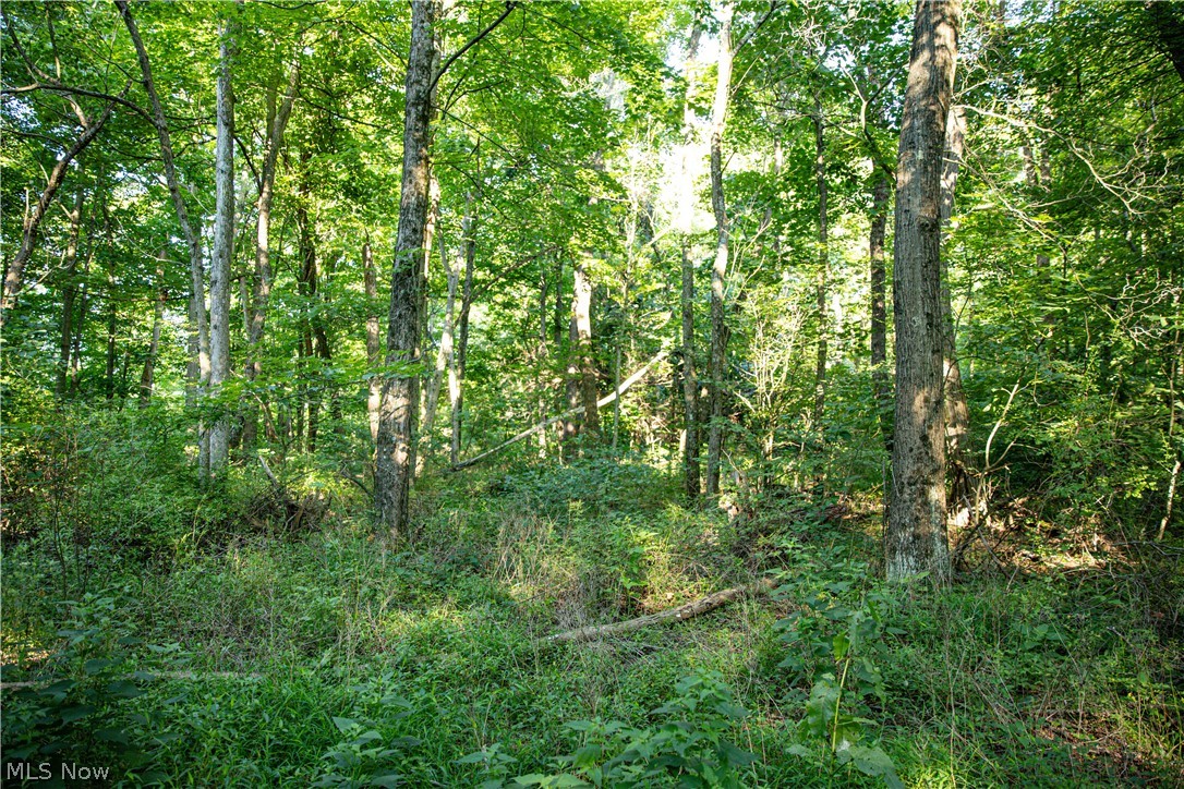 52982 Wegee Road 1 Property Photo 20