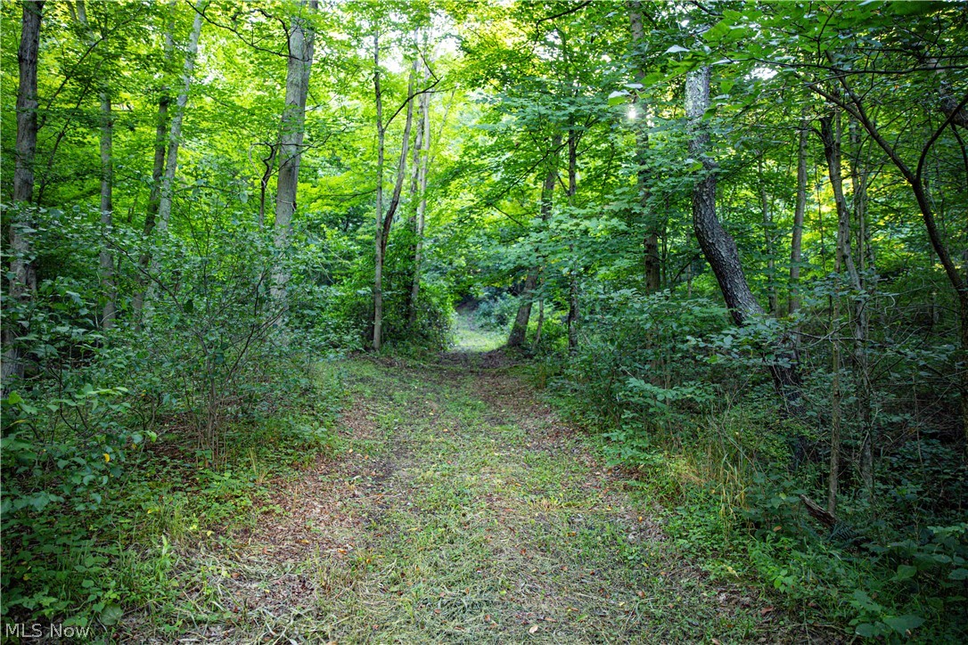 52982 Wegee Road 2 Property Photo 8
