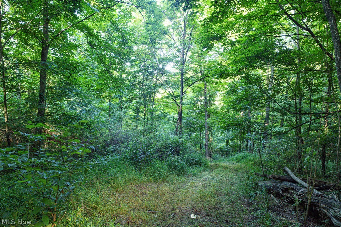 52982 Wegee Road 2 Property Photo 17