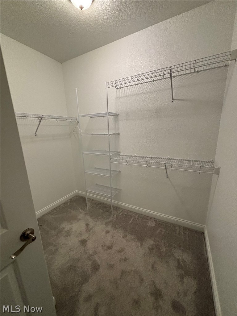 502 Berklee Drive Property Photo 23