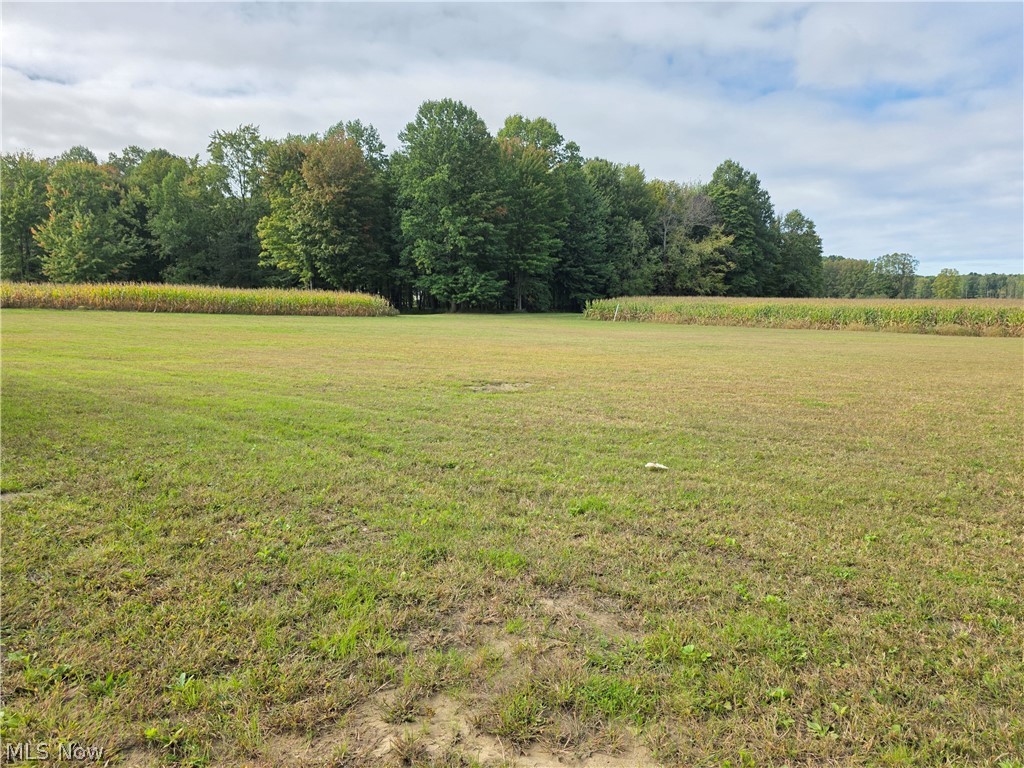 6535 North Ridge Road Property Photo 11