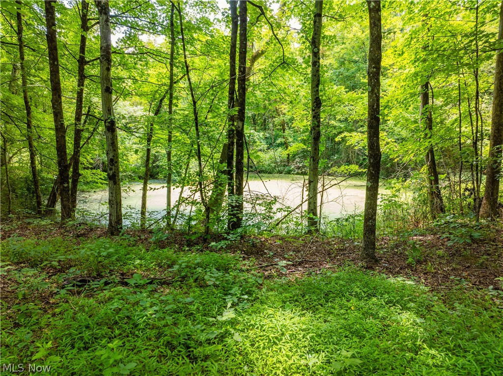 19267 State Route 821 Property Photo 47