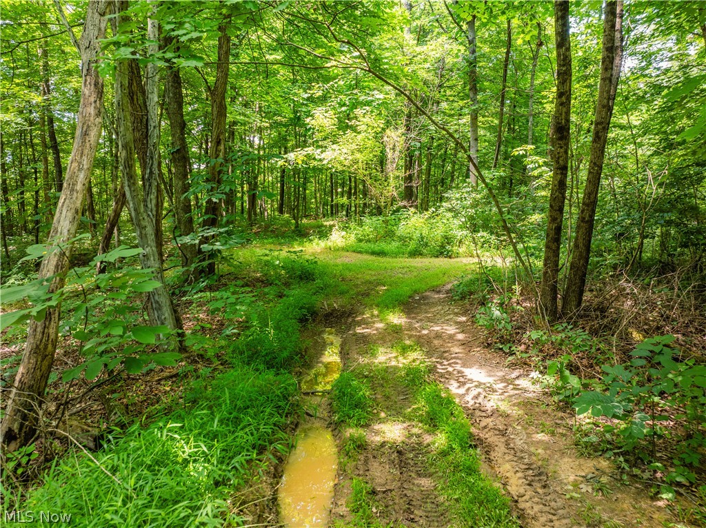 19267 State Route 821 Property Photo 48