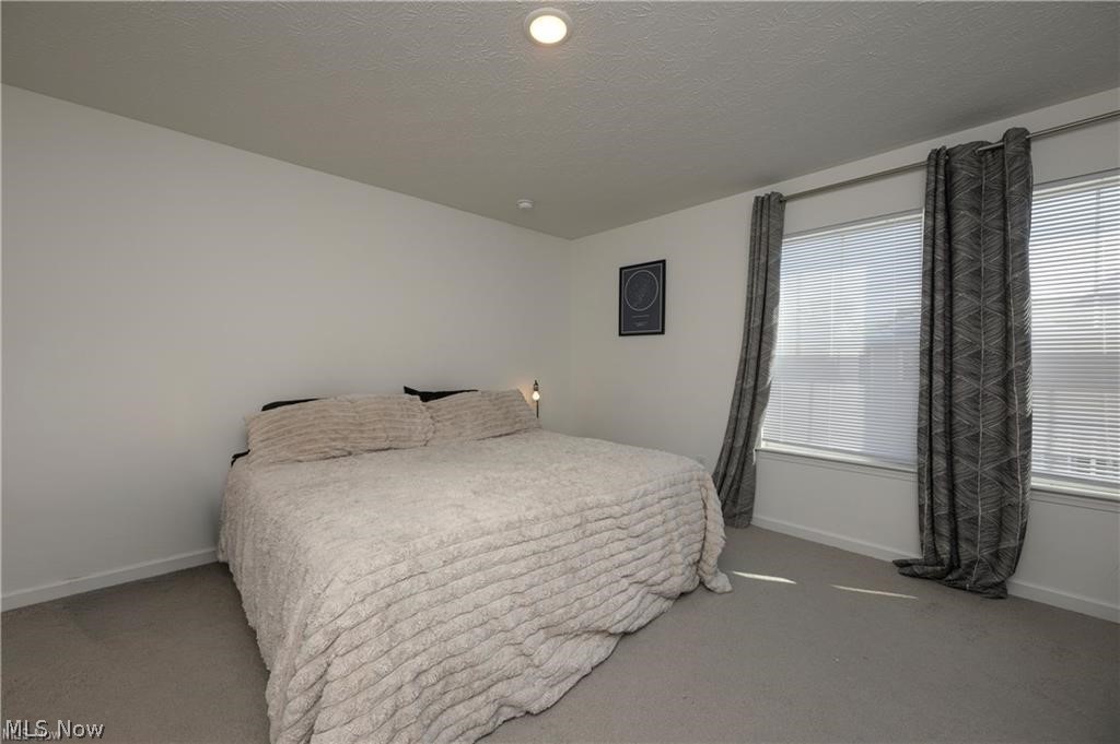 460 Auld Farm Circle Property Photo 18