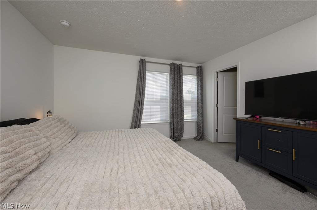 460 Auld Farm Circle Property Photo 19