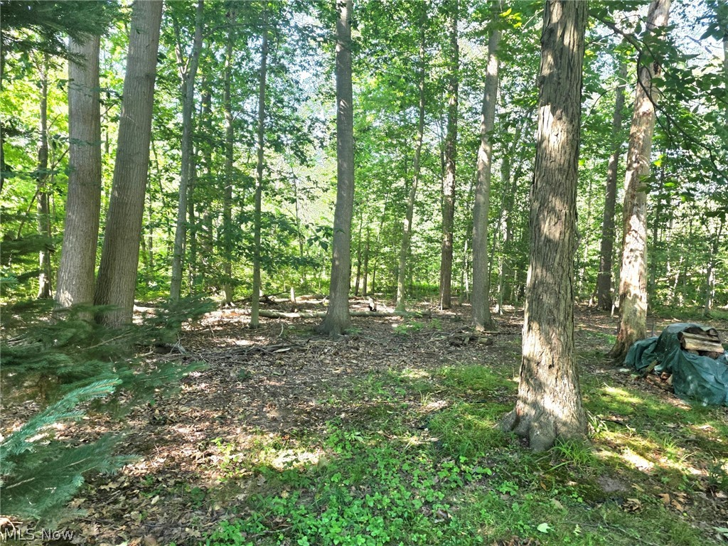 7415 Avon Lane Property Photo 24