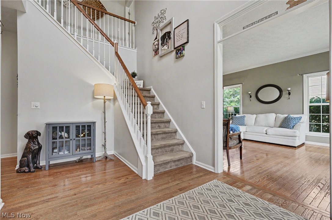 4354 Cypress Court Property Photo 5