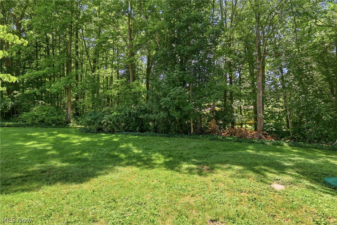 7090 Euclid Chardon Road Property Photo 48