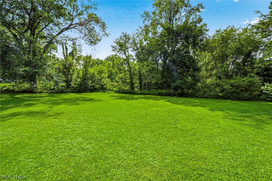 10182 Mulberry Road Property Photo 29