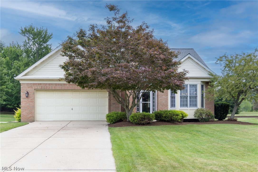 10082 Timothy Lane