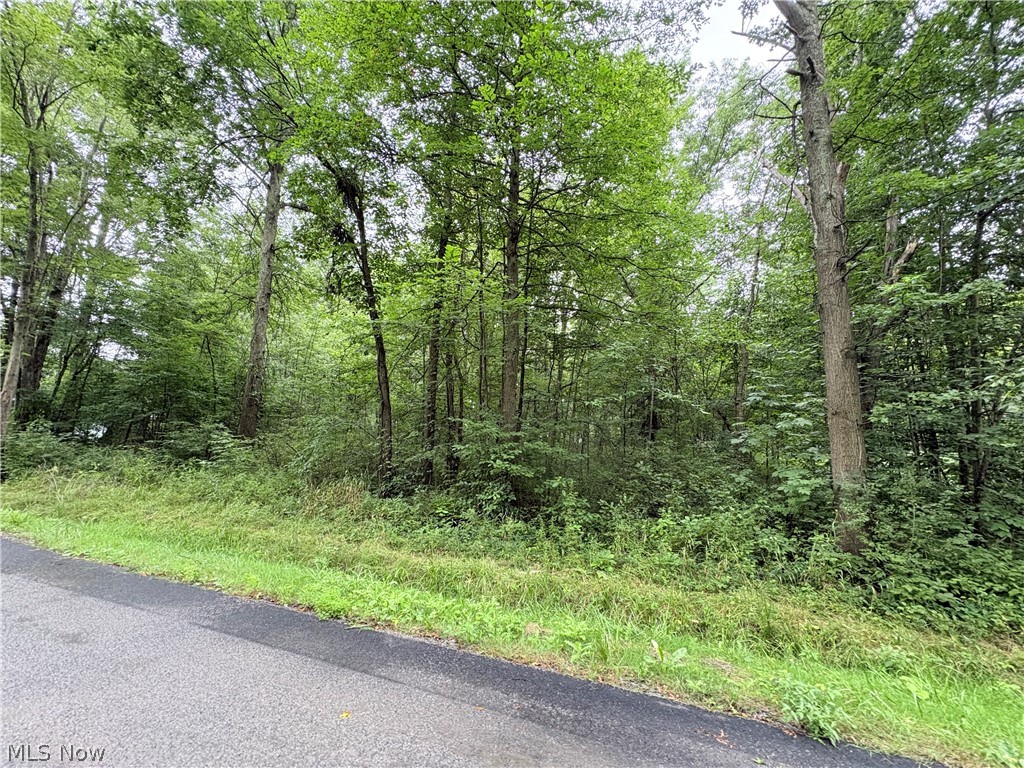 Bon Air Avenue Ne Property Photo 3
