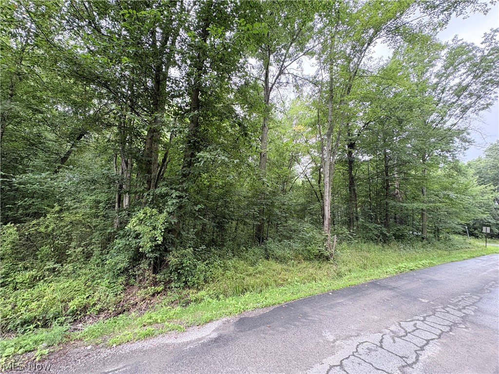 Bon Air Avenue Ne Property Photo 4