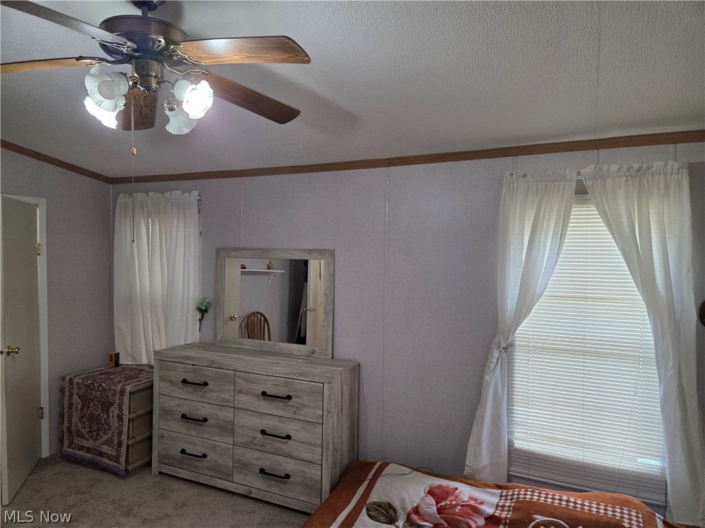 8 Maple Drive Property Photo 14