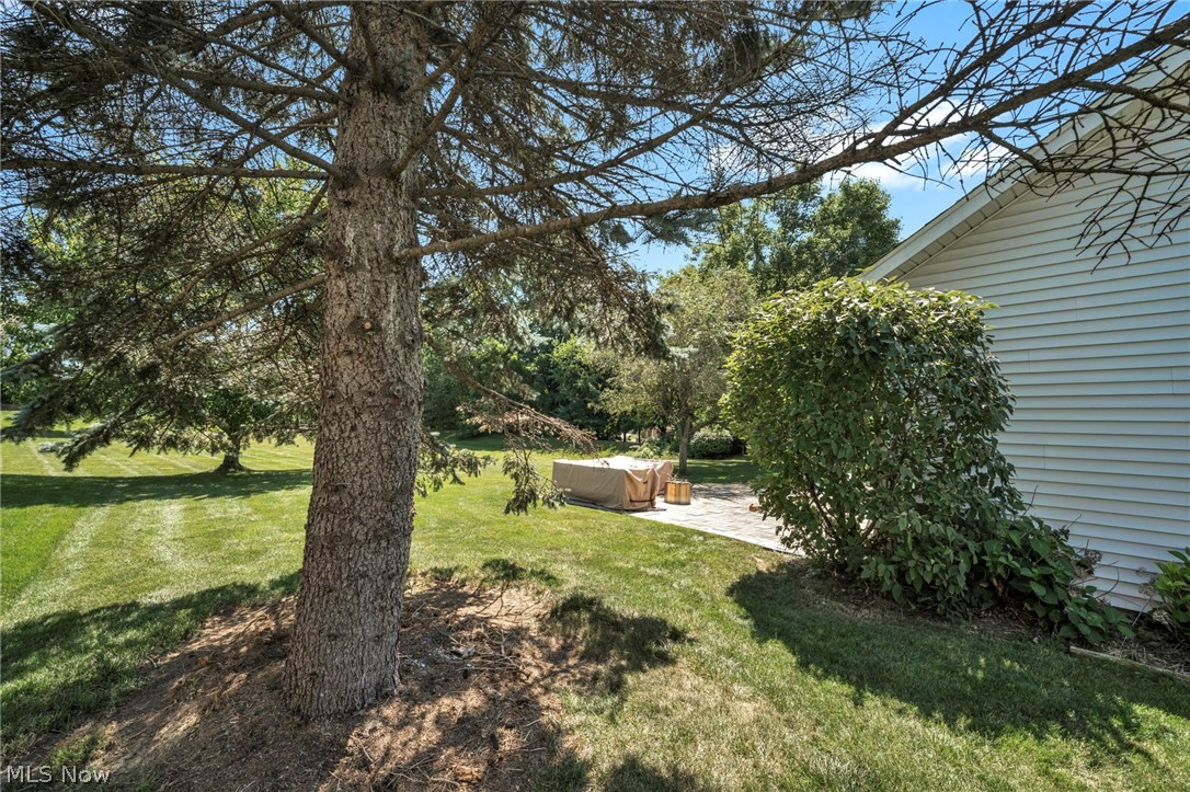 421 Summit Street Property Photo 47