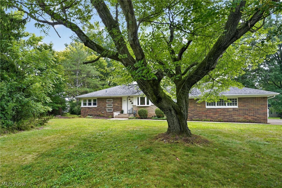 59 Shipherd Circle Property Photo 43