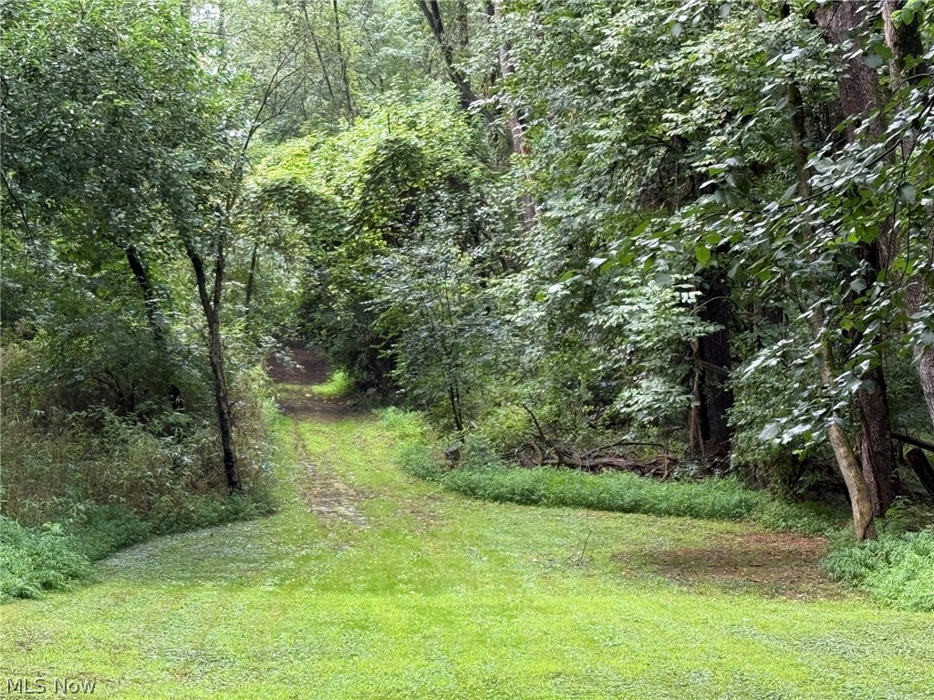 980 Killinger Road Property Photo 38