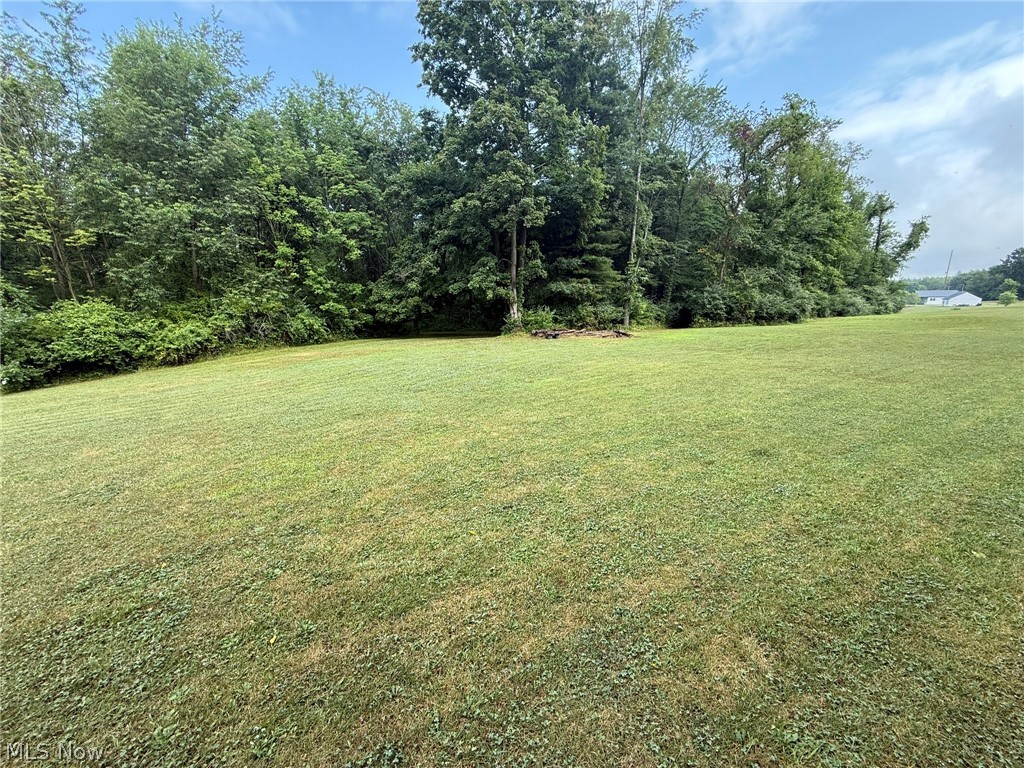 980 Killinger Road Property Photo 45