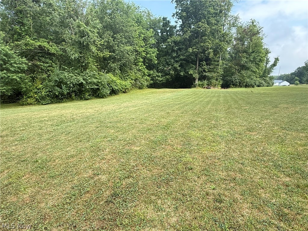 980 Killinger Road Property Photo 47