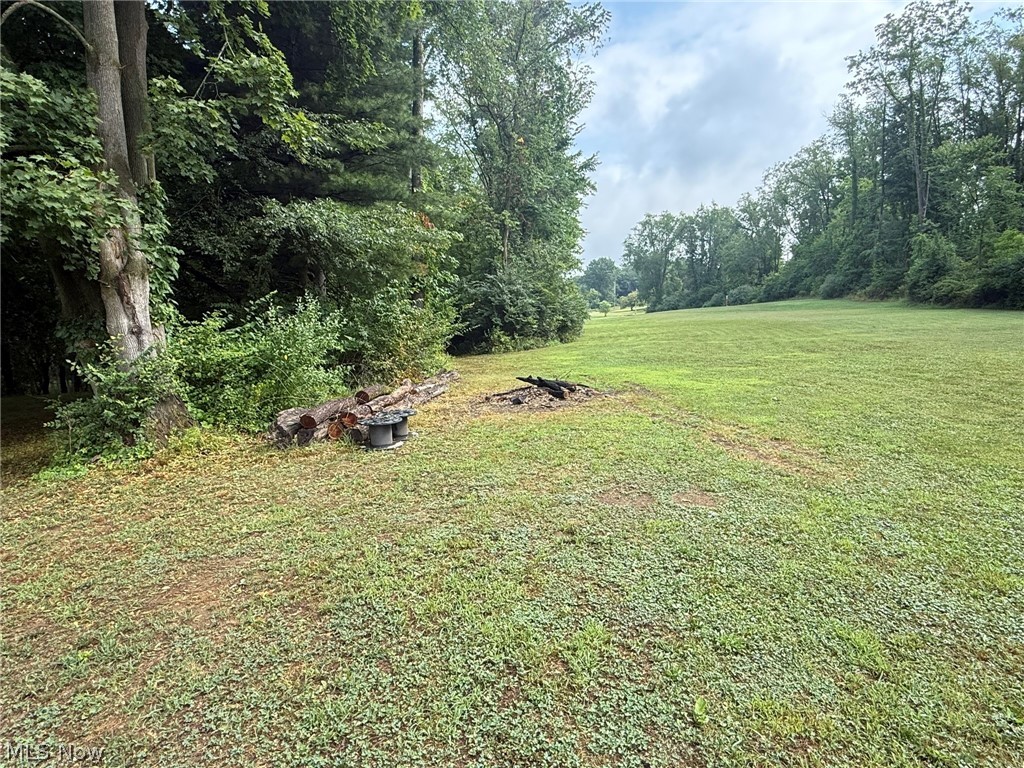 980 Killinger Road Property Photo 48