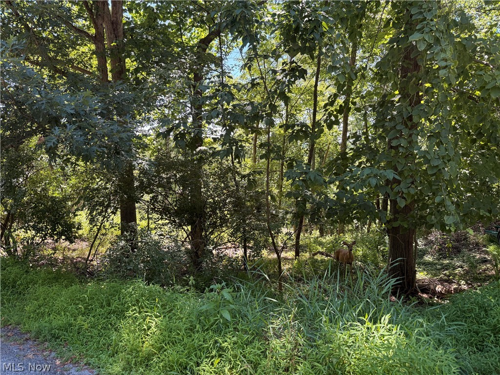 Lot 1623 Comanche Trail Property Photo 1