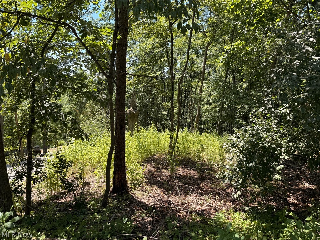 Lot 1623 Comanche Trail Property Photo 2
