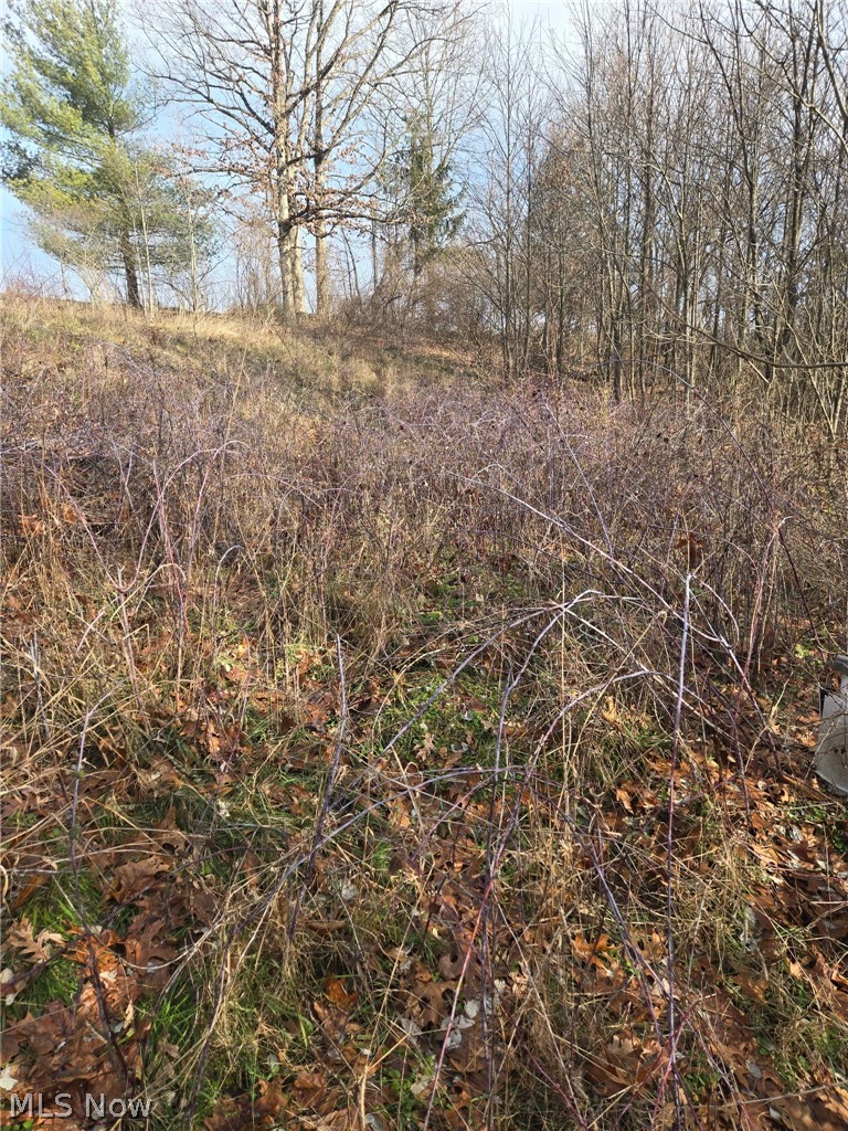 9284 Briar Road Property Photo 1