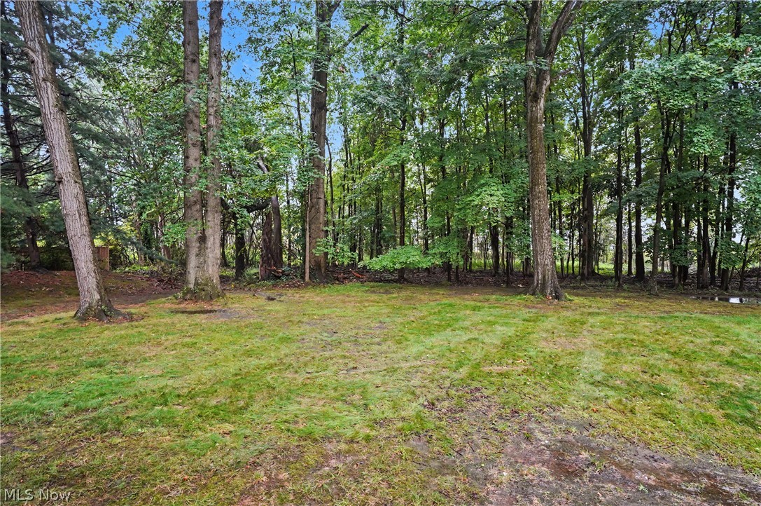1260 Boardman Canfield Road 6 Property Photo 37
