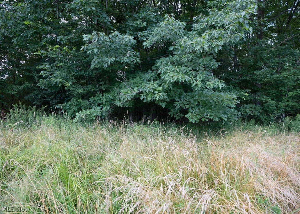 0 Beach Road Property Photo 4