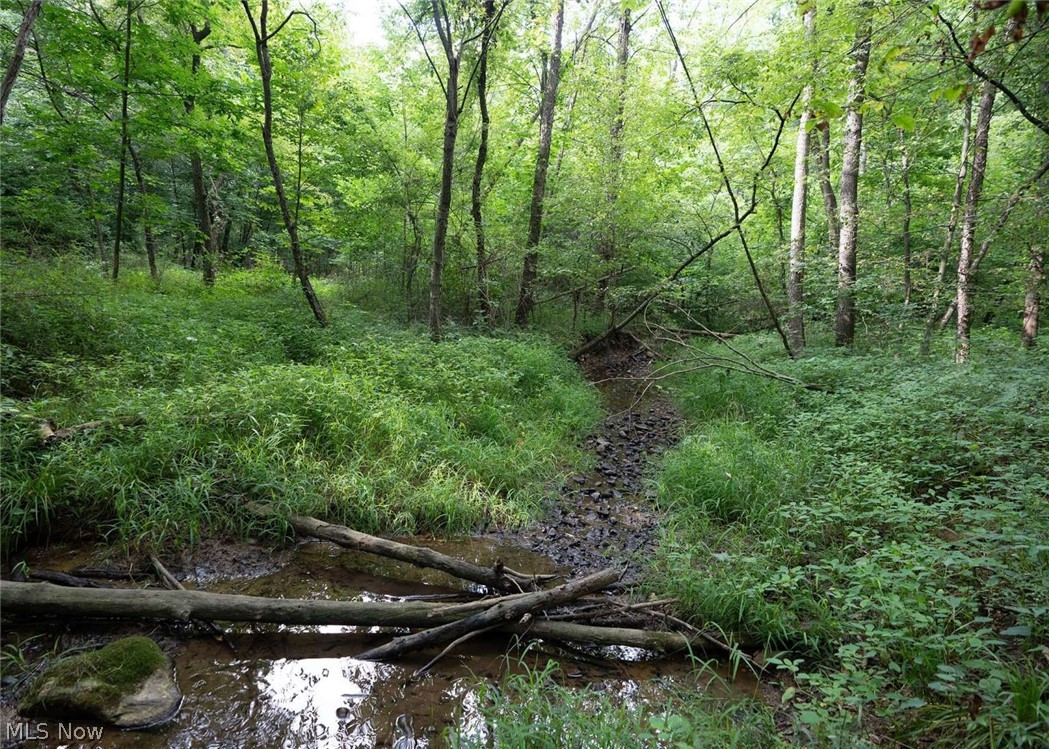 0 Beach Road Property Photo 9