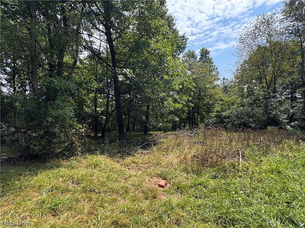 Tomahawk Drive Drive Property Photo 9