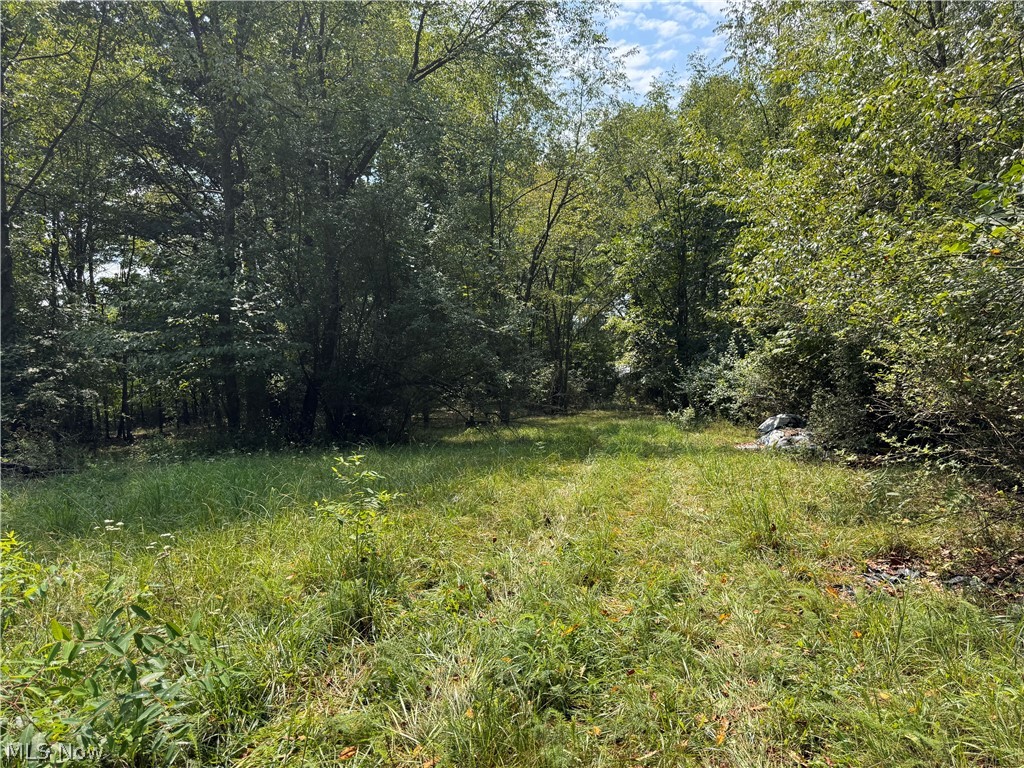 Tomahawk Drive Drive Property Photo 11