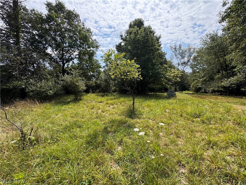 Tomahawk Drive Drive Property Photo 13