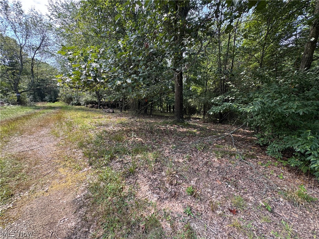 Tomahawk Drive Drive Property Photo 14