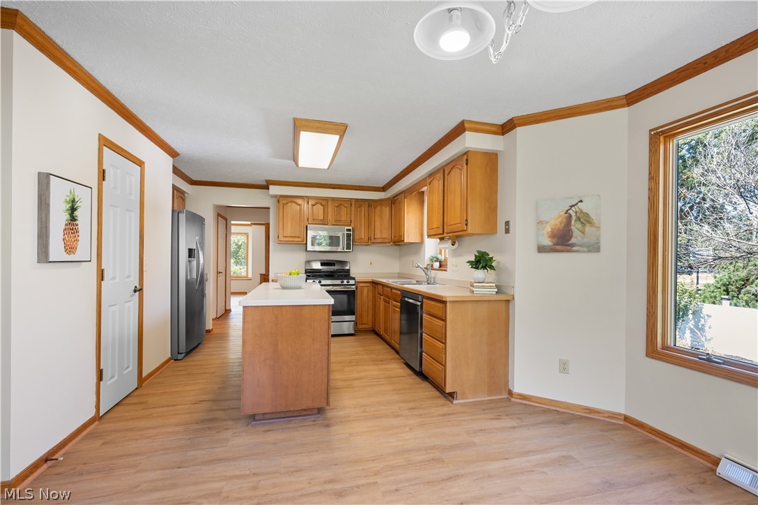 37959 Detroit Road Property Photo 15