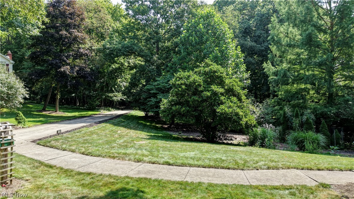 4431 Oldham Way Property Photo 49