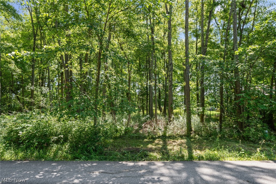 Cranage Road Property Photo 4