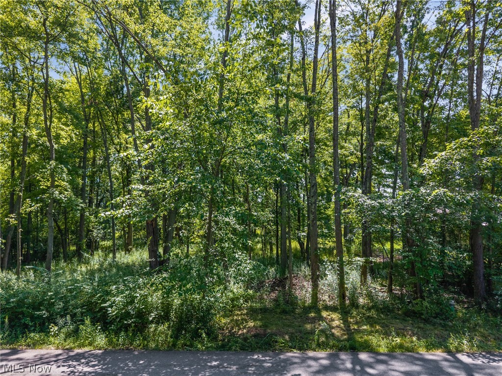 Cranage Road Property Photo 12