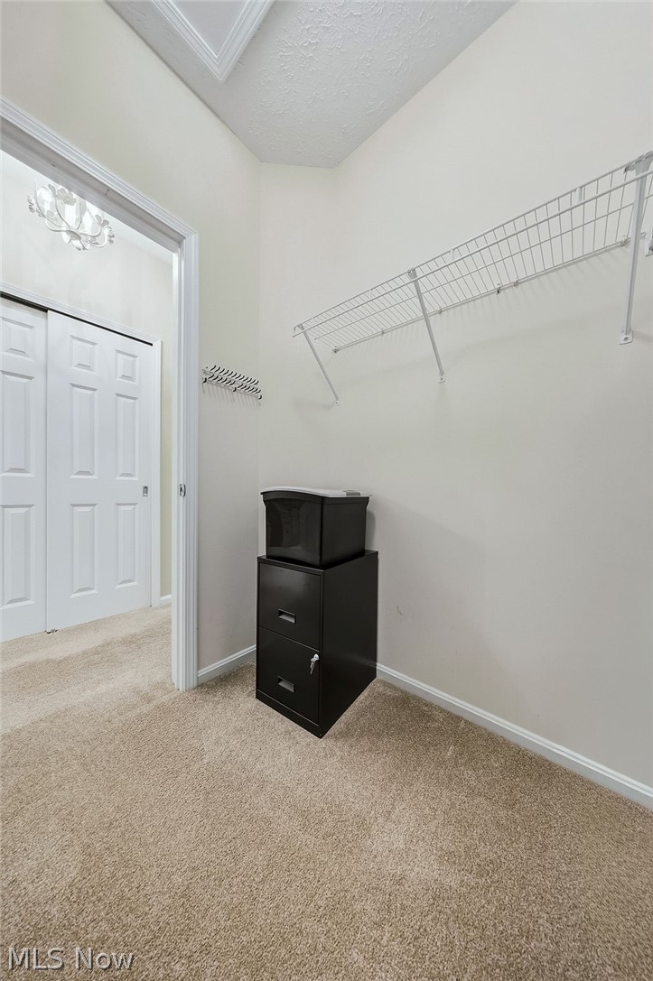 4 Whitaker Cove Property Photo 43