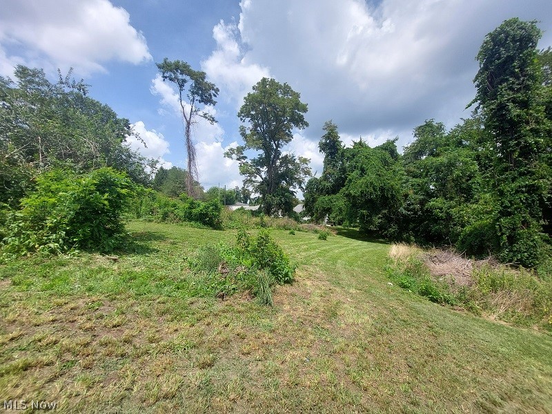 Cunningham Lane Property Photo 8