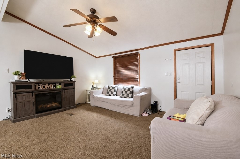 8 Eddy Road Property Photo 6