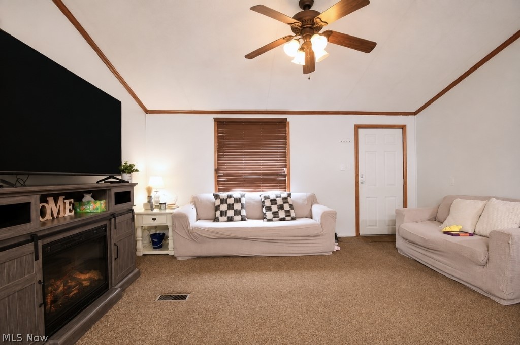 8 Eddy Road Property Photo 7