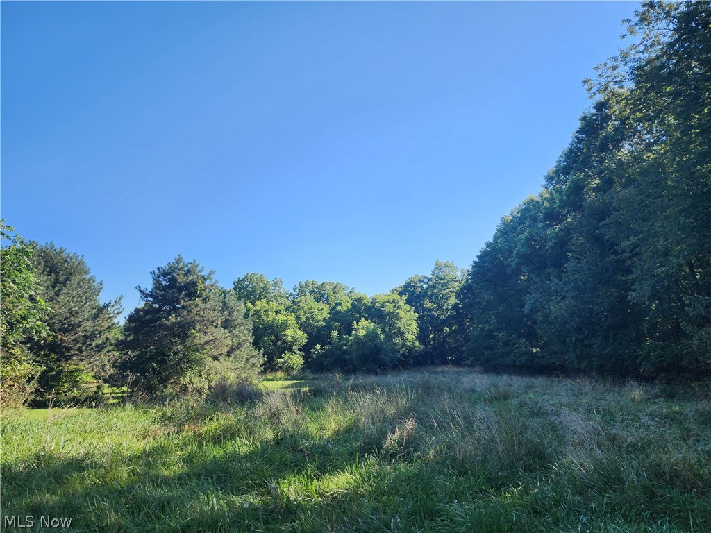 1496 Southeast Avenue Property Photo 1