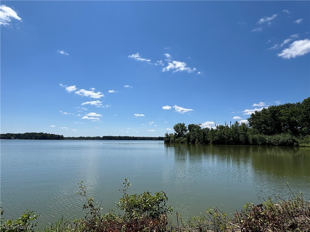 10250 Spinnaker Run Property Photo 35