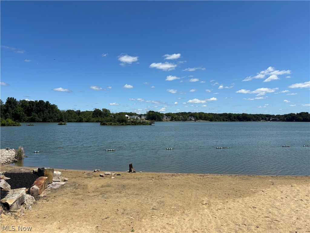 10250 Spinnaker Run Property Photo 36