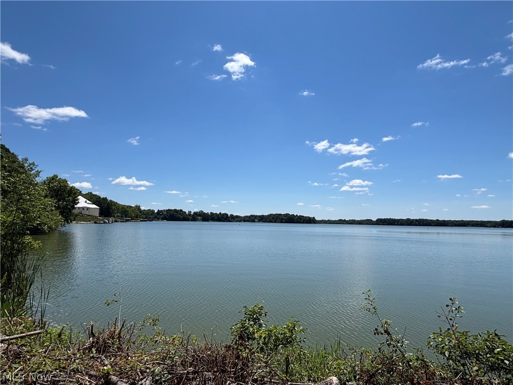 10250 Spinnaker Run Property Photo 37