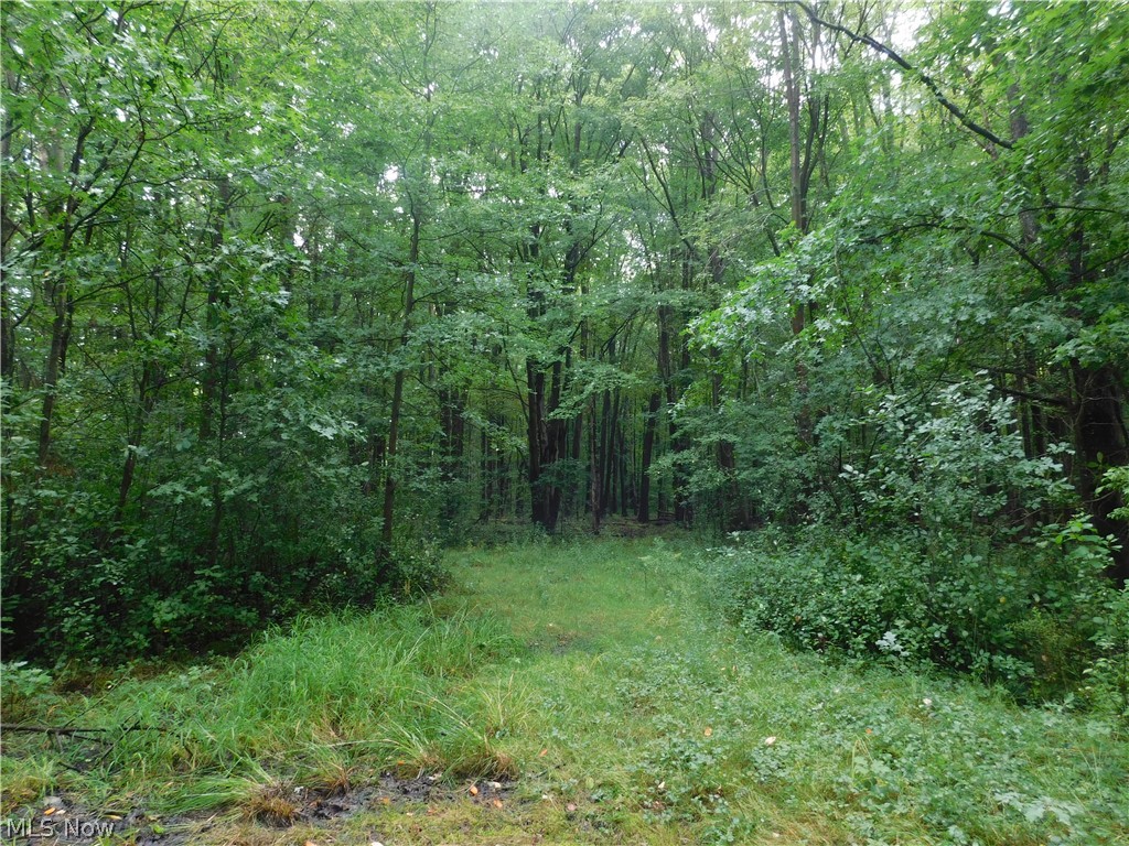 Hyde Road Property Photo 3
