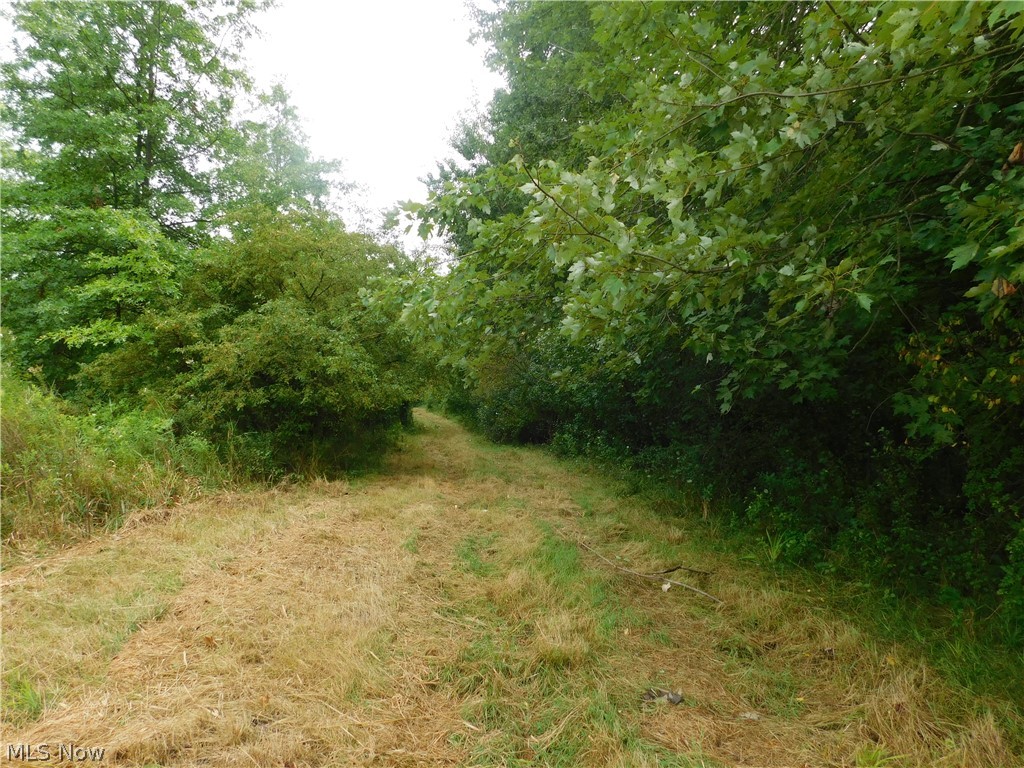 Hyde Road Property Photo 8