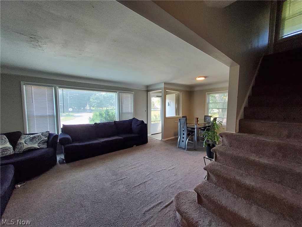 4113 Stonehaven Road Property Photo 16